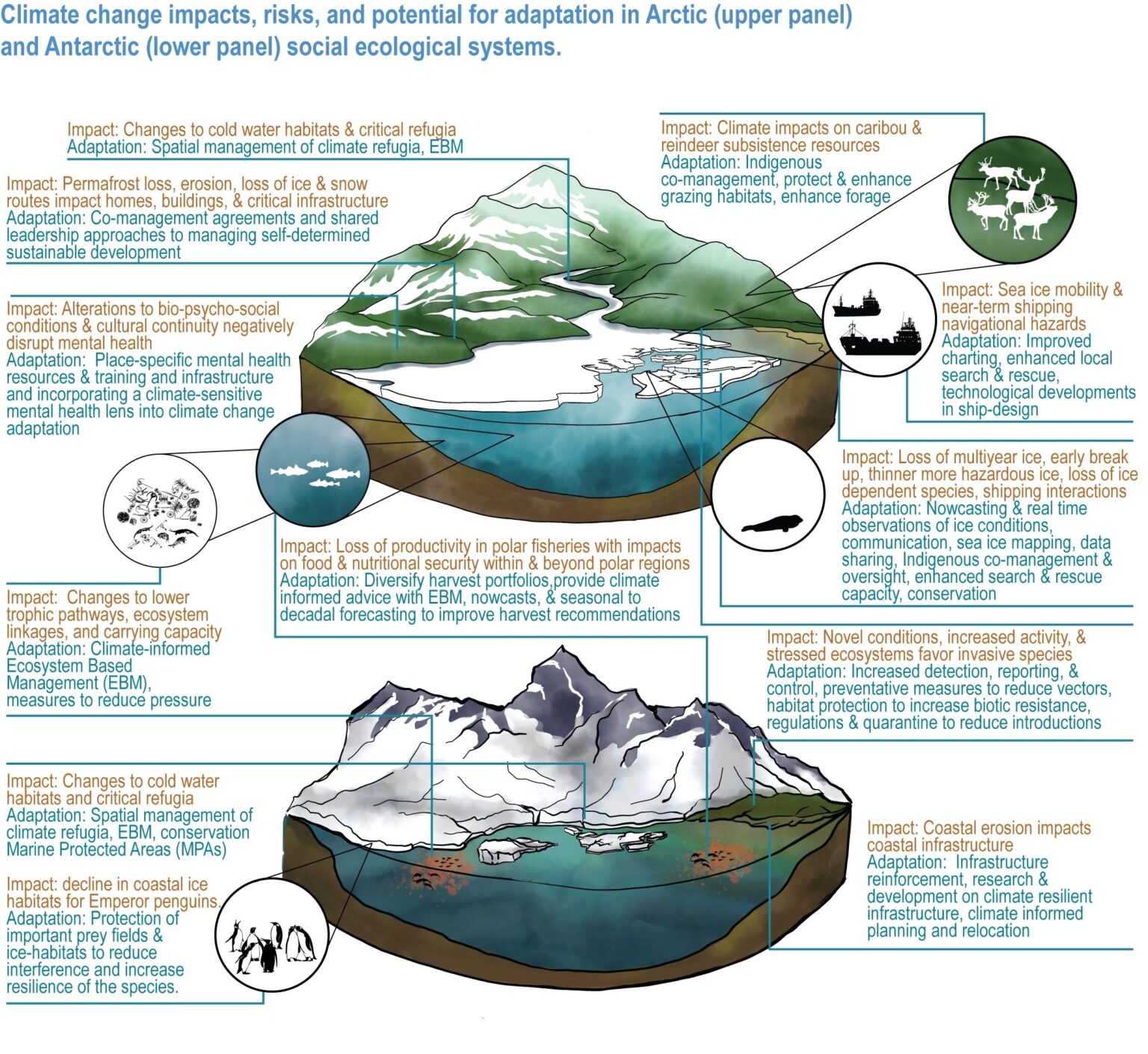 2.8. How climate change affects the Arctic region – UNDP Climate Box