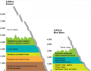 Altitudinal Range 2.7. How climate change affects mountain regions - UNDP Climate Box